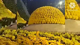 Flower Show Hongkong 🇭🇰🇭🇰