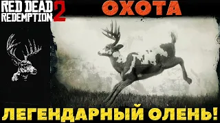 Red Dead Redemption 2 - Охота. Легендарный Олень.