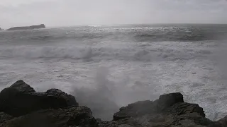 Storm Mathis batters the Cornwall coast and ruffles a cornish dog.