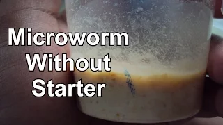 MicroWorm Culture Without Starter