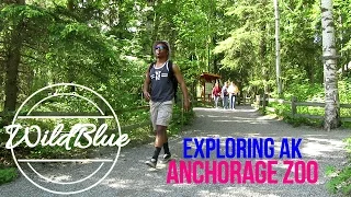 Exploring Alaska: The Anchorage Zoo