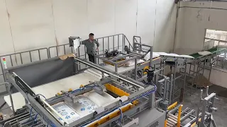 Automatic High Level Bags Palletizing Machine with  High Speed 50KG Bags Packing