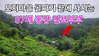 오지마을  맑은 청정수 계곡물이 흐르는 곳 87세 동갑 잉꼬 부부가 살고 계시네요