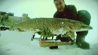 Рыбалка для сильных духом людей! Якутия Yakutia