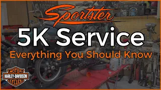 DIY 5000 Mile Sportster Service Tips