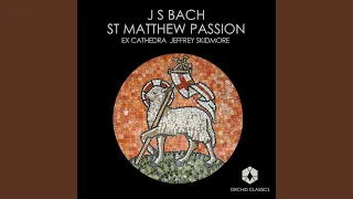 St. Matthew Passion, BWV 244 (Sung in English) : Part I: Aria: Break in grief, O loving heart...