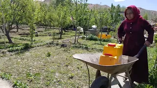 Village Life Afghanistan | Daily Routine Village life | Chicken  Stew Village 