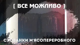 Шокуючі кадри. Інсайд із м’ясопереробного підприємства у Підберізцях| Все можливо