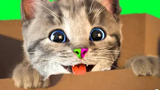 FUNNY LITTLE KITTEN ADVENTURE AND ANIMALS - EDUCATIONAL ANIMATED CAT GAME