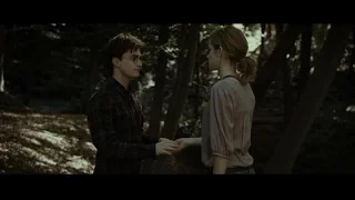 If John Williams Scored Harry Potter and the Deathly Hallows (Hermione and the Snatchers)