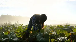 Agriculture, Food, and Natural Resources Careers | Career Cluster/Industry Video Series