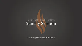 Naming What We All Know — Bishop Barron’s Sunday Sermon