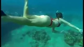 Girls Diving In Bikinis