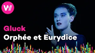 Gluck - Orphée et Eurydice (Orchestre Révolutionnaire et Romantique, Monteverdi Choir)