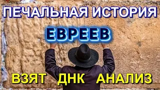 Тайна ПРОИСХОЖДЕНИЯ ЕВРЕЕВ ⚡ взят ДНК анализ⚡