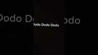 Dodo memberi yang terbaik