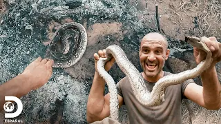 Come una boa Constrictor para no desfallecer | Ed Stafford al Extremo | Discovery en Español