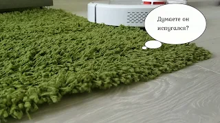 MI Robot Vacuum на ковре с высоким ворсом