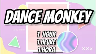 Dance Monkey Tones and I - Lyrics 1 hour | français | Español (french, spanish sub)