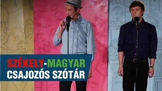 Szomszédnéni: Székely-magyar csajozós szótár