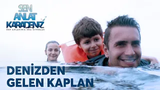 Denizden Gelen Kaplan | Sen Anlat Karadeniz Özel Kolaj