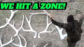 YOU WONT BELIEVE WHAT HAPPENED! |Shed Hunting 2024|