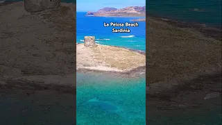 La Pelosa Beach-Sardinia #reels #sardinia #short #shortvideo #shorts