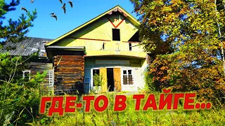 ГДЕ ТО В ТАЁЖНЫХ ЛЕСАХ ЗАБРОШЕННЫЙ ПОСЁЛОК ЛЕСОРУБОВ