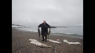 Где искать треску весной и где можно спустить лодку в Баренцевом море