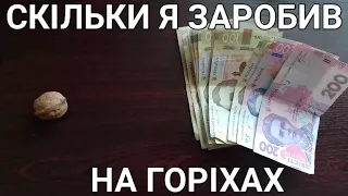 Скільки можна заробити на горіхах?