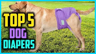 ✅ Top 5 Best Dog Diapers of 2024
