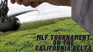 Major League Fishing High School Tournament on the California Delta!