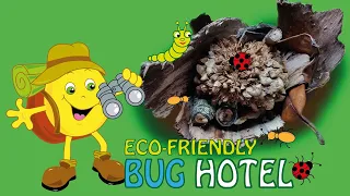 How to Make a Bug Hotel, Insect House. Eco-Friendly. No using Plastic or Metal.