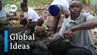 The struggle of Ghanas cocoa farmers | Global Ideas