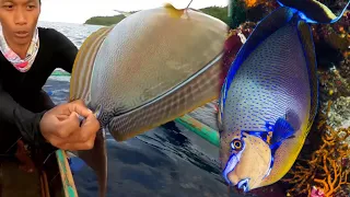 Simple way to catch big nose unicorn fish and Yellowfin surgeonfish