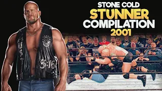 Stone cold (Stunner) Compilation (2001)