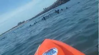Lobos marinos de Necochea - Turismo Kayak