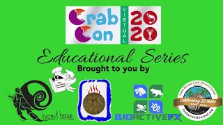 2020 Crab Con - The History and Evolution of the Land Hermit Crab Owners Society