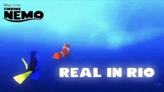 [4K] Finding Nemo「Edit」(Real in Rio)