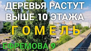 Сельмашевская панорама в Гомеле