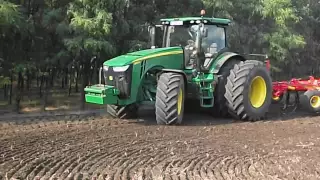 John Deere 8310R & vederstad cultus 500!! Földvári Gabona Kft!!!