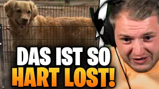 😂🤯Trymacs REAGIERT auf REALER IRSINN! & JEREMY FRAGRANCE | Trymacs Stream Highlights