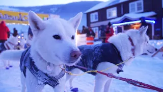 Yukon Quest 2018 Fast As Spirits