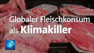 Globaler Fleischkonsum als Klimakiller