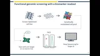 CRISPR Screening - The What, Why and How