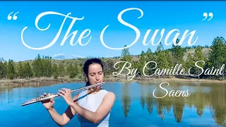 "The Swan 🦢"- Saint Saens ("Le Cygne") - Flute and Piano Version,Beautiful Relaxing Classical Music