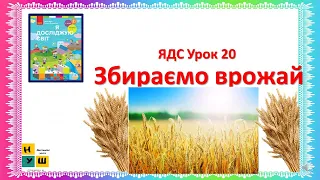 ЯДС  2 клас Урок 20 Збираємо врожай автор підручника Бібік