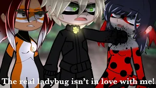 🤬The real ladybug isn’t in love with me!//[🐈‍⬛MLB🐞] Gacha Club meme