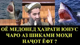 ОЁ МЕДОНЕД ХАЗРАТИ ЮНУС ЧАРО АЗ ШИКАМИ МОХИ НАЧОТ ЁФТ!? Абдуссаломи Обид.