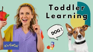 Best Toddler Videos |Learn to Talk and Sign| - Episode One - Let's Learn About Dogs